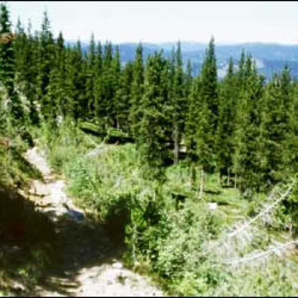 Walking in the footsteps of greatness: Idaho's Lewis and Clark Trail