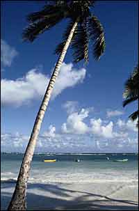 Adventure diversion: the tranquil beaches of the Dominican Republic