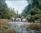 horseback queensland
