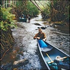 Gabon National Parks