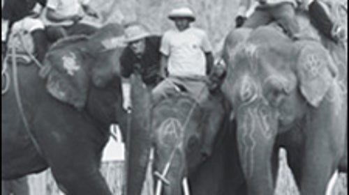 World Elephant Polo Championships