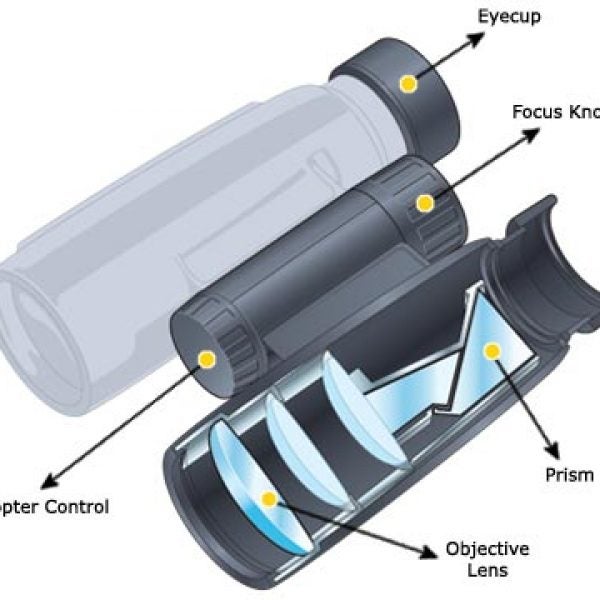 2004 Buyer's Guide : Binoculars Explained