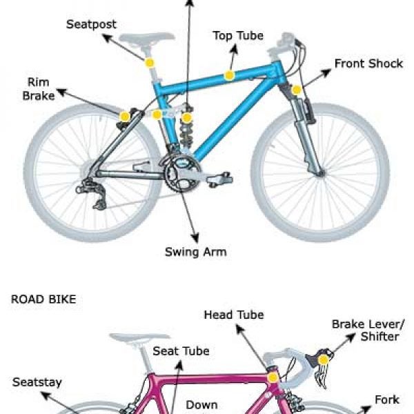 2004 Buyer's Guide : Bikes Explained