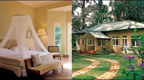 Sri Lanka Cyelon Tea Trails