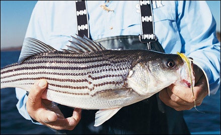 New York Fishing