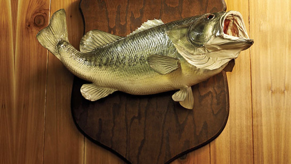 Big Fish, Little Ponds Outside Online