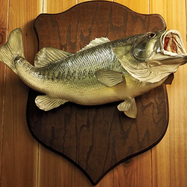 Golf Course Catch