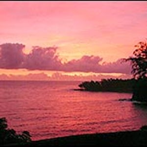 Palms Cliff House Inn