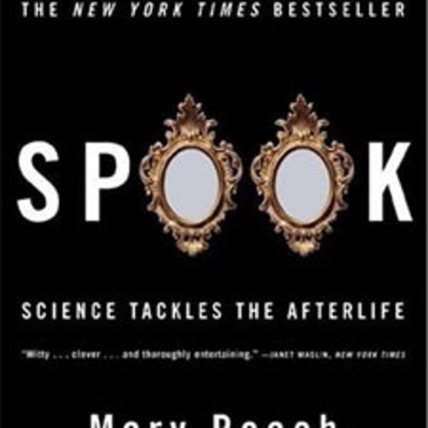 Spook
