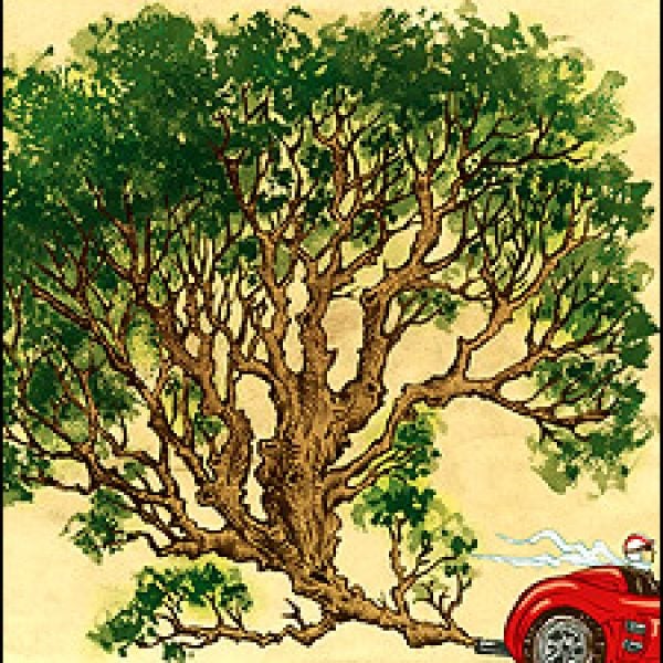 Electric Cars