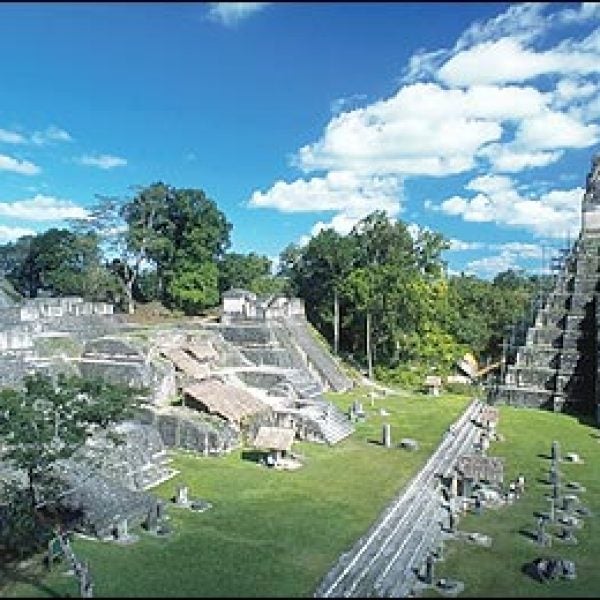 Crumble in the Junge: Tikal