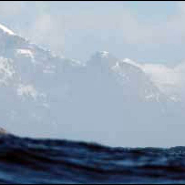 Sea Kayaking South Georgia Island