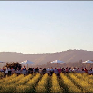 culinary adventure travel