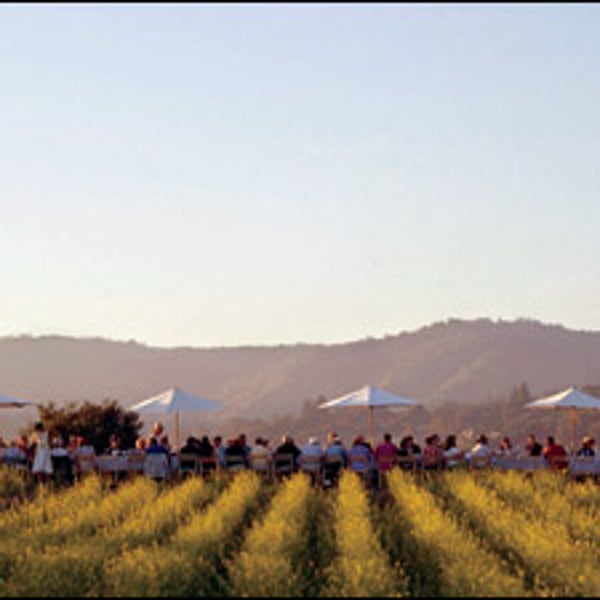 culinary adventure travel