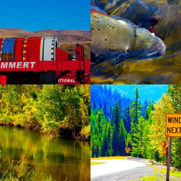 Scenes from the Proposed High and Wide Industrial Corridor