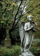 Mount Auburn Cemetary, Boston