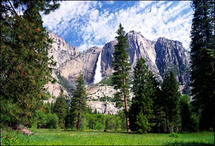 Yosemite National Park
