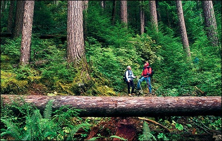 Olympic National Park