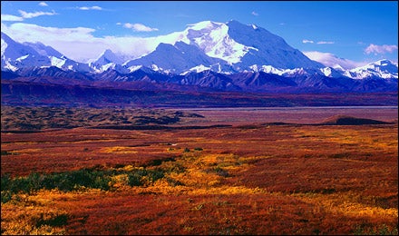Denali National Park