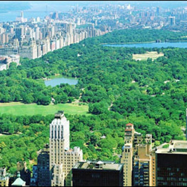 Wildlife in New York City