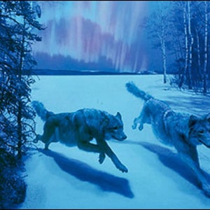 New York City Museum of Natural History