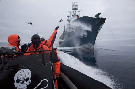 Sea Shepherd