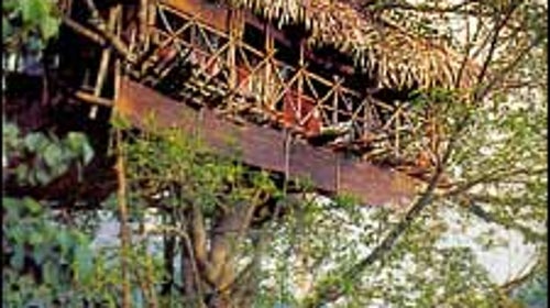 A notch above: a TourIndia Kerala tree house