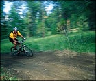 Quick release: mountain-biking the San Francisco Peaks, near Flagstaff
