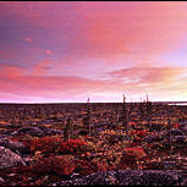 Tread lightly: Churchill's fragile, technicolor tundra