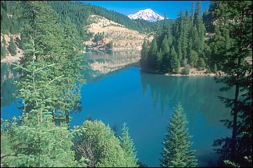 Mount Shasta peaks over the Cascade landscape
