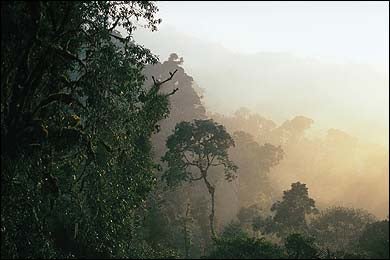 Keep your head in the clouds in Monteverde, Costa Rica