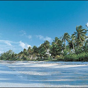 Lying low in the Bahamas