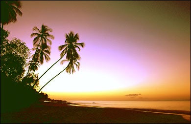 Tobago's blemish-free horizon