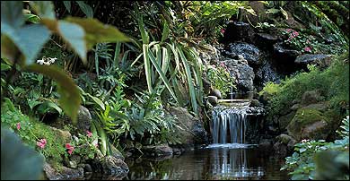 Kauai