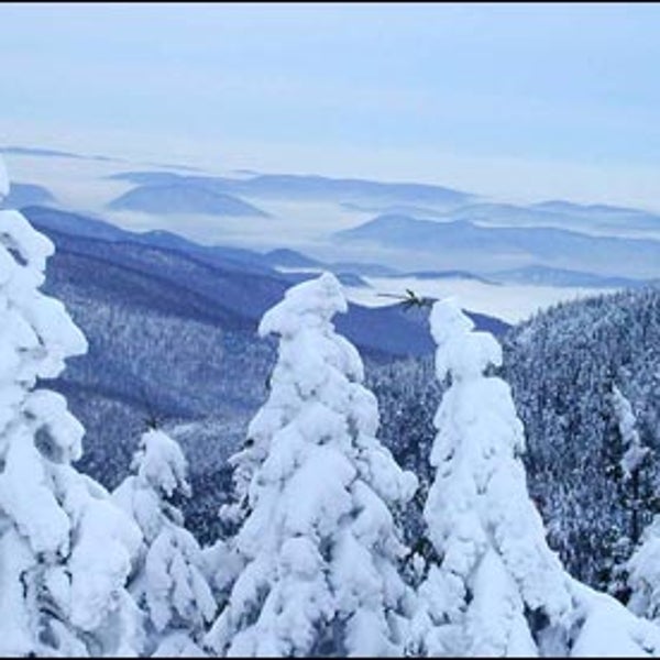 Stowe Resort