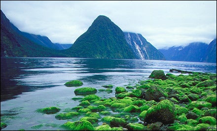 A SOUND PLAN: Circumnavigating New Zealand's South Island
