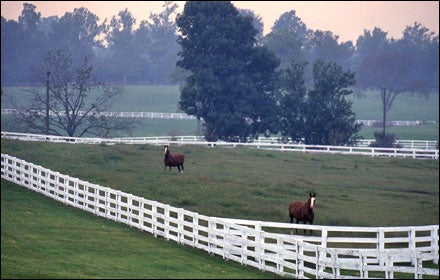 Kentucky