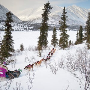 Dogsled Alaska
