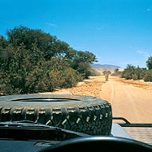 How do you put this thing in reverse? Heavy traffic in Kaokoveld, Namibia