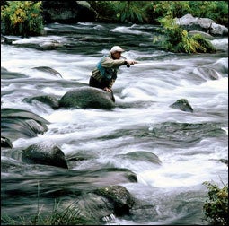 Elk Creek Bristol Bay