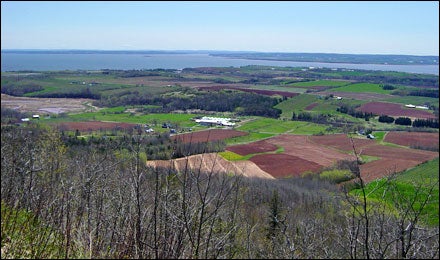 Bay of Fundy, New Brunswick