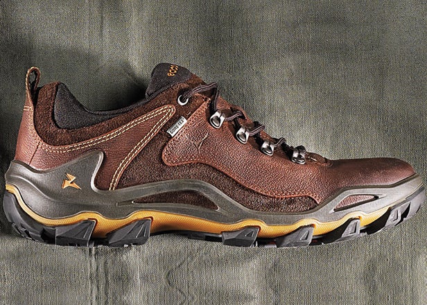 Ecco Dhaka Lo GTX Shoe