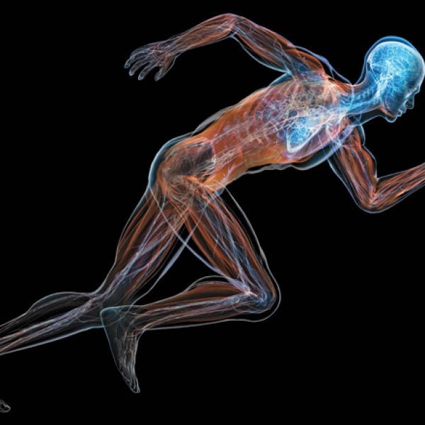 Future of Human Performance