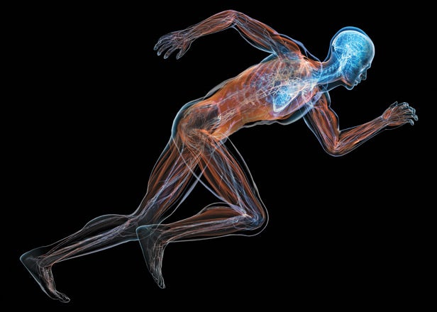 Future of Human Performance