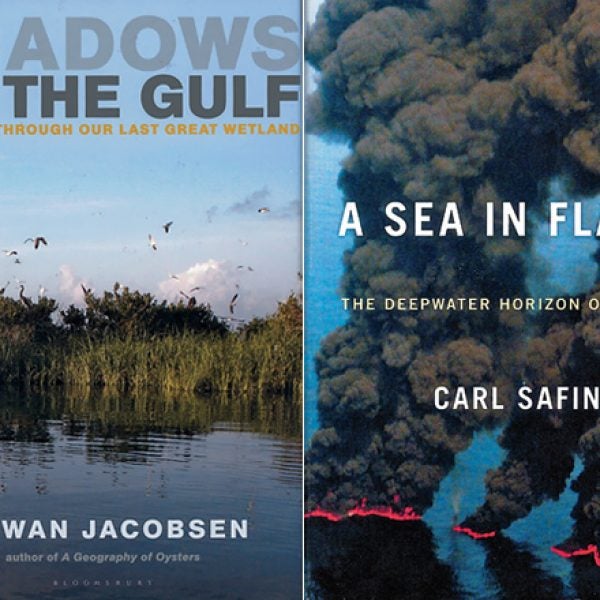 Shadows on the Gulf, A Sea in Flames
