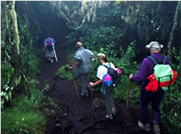 Oxygen zone: the forested lowlands of Kili