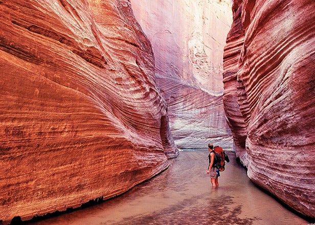 Zion National Park