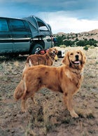 2002 Chevy Avalanche