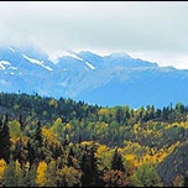 Going up: Alaska's green and white glory