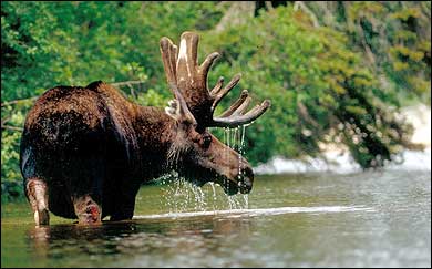 canada parks, adventures